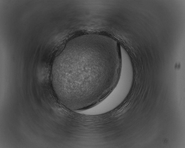 X0000091701300200708241214