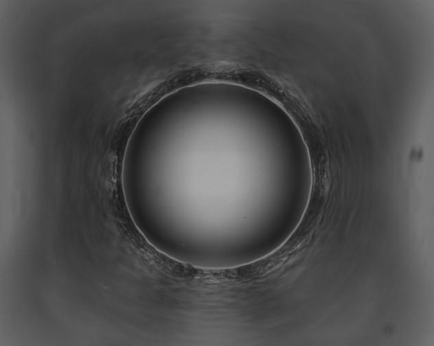 X0000091701301200708241214