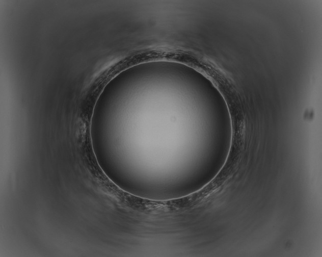 X0000091701302200708241214