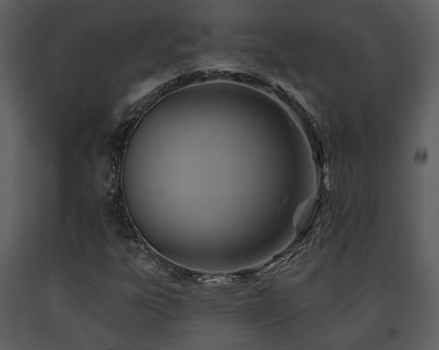 X0000091701303200708241214