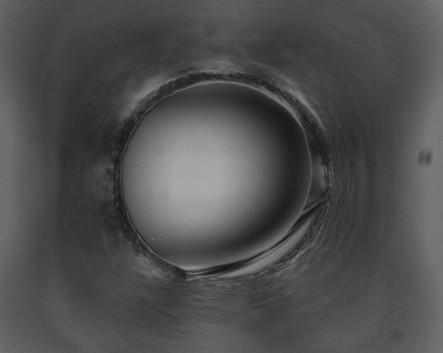 X0000091701304200708241214