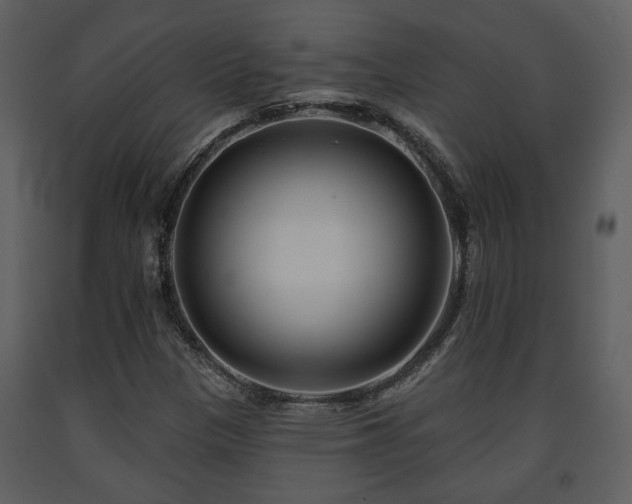 X0000091701305200708241214