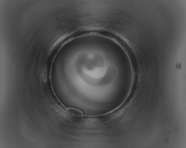 X0000091701306200708241214