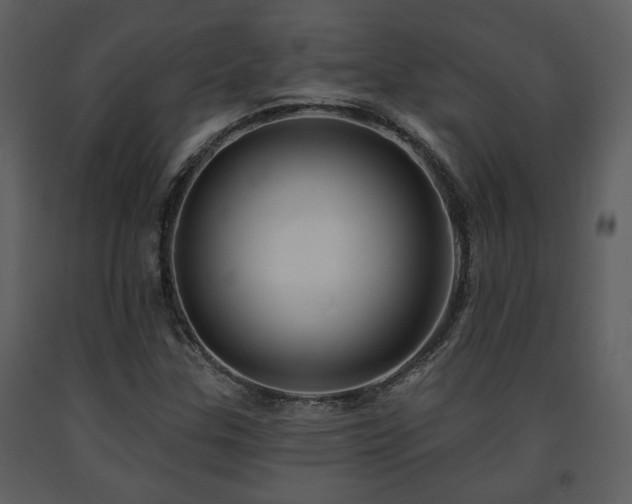 X0000091701307200708241214