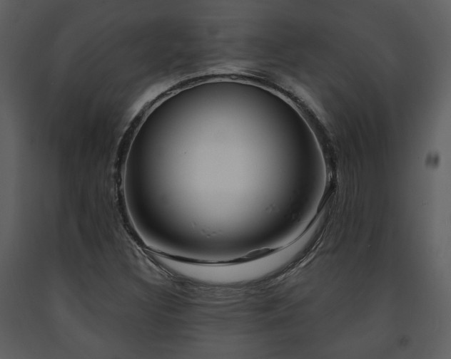 X0000091701308200708241214
