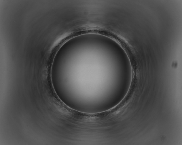 X0000091701309200708241214