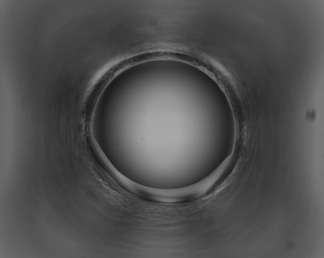 X0000091701310200708241214