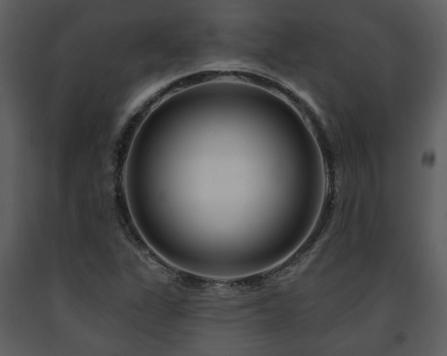 X0000091701311200708241214