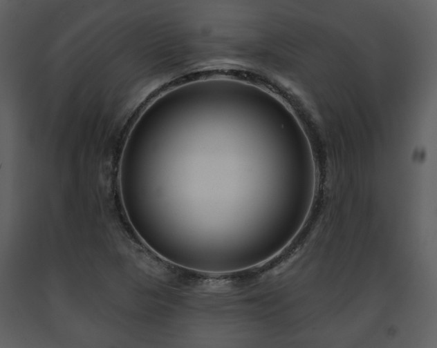 X0000091701313200708241214