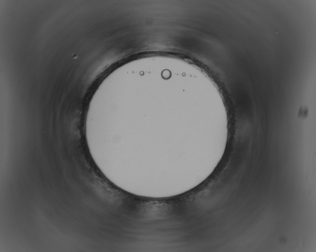 X0000091701314200708241214