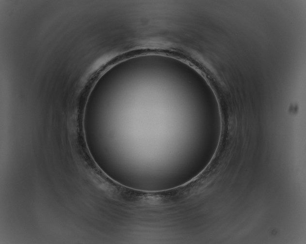 X0000091701315200708241214