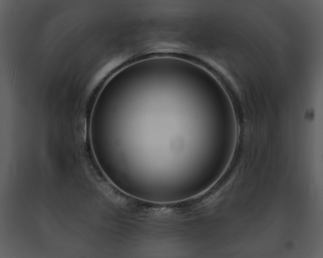 X0000091701317200708241214