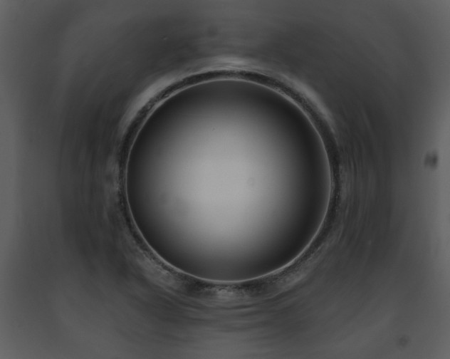 X0000091701318200708241214