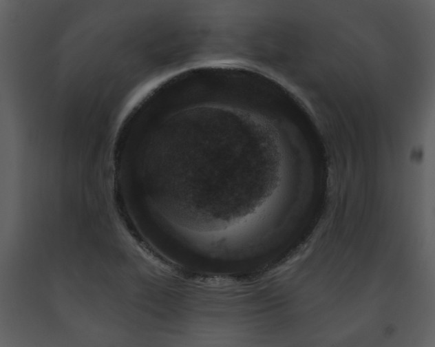 X0000091701319200708241214