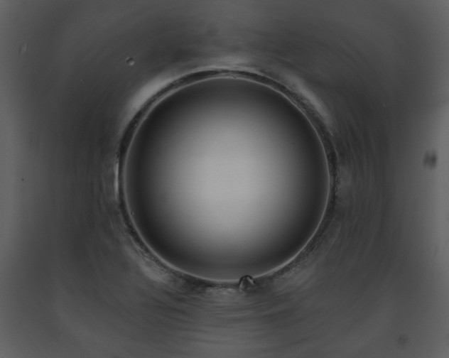 X0000091701320200708241214