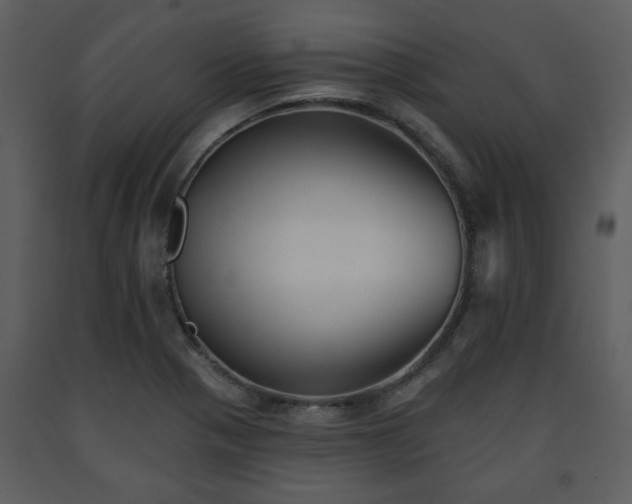 X0000091701321200708241214
