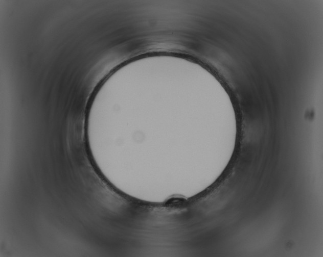 X0000091701322200708241214