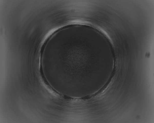 X0000091701323200708241214