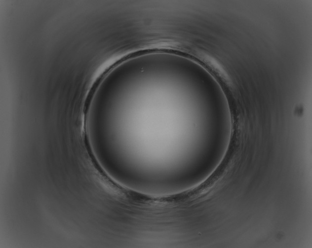 X0000091701324200708241214