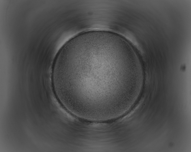 X0000091701325200708241214