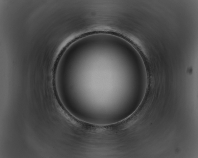 X0000091701326200708241214