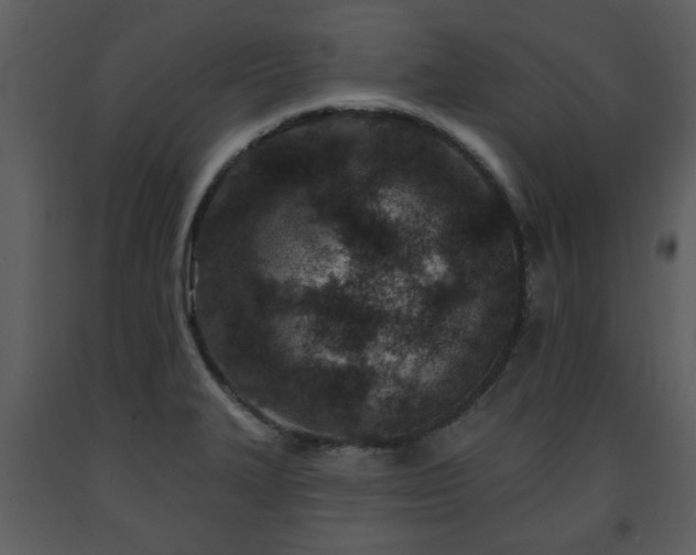 X0000091701327200708241214