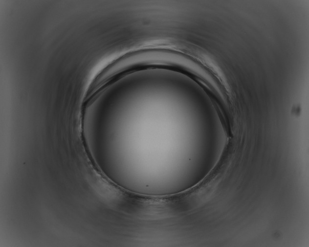 X0000091701328200708241214
