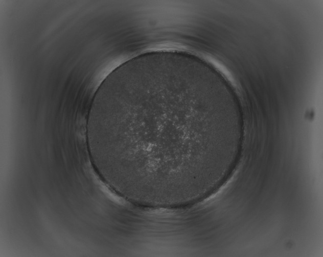 X0000091701329200708241214