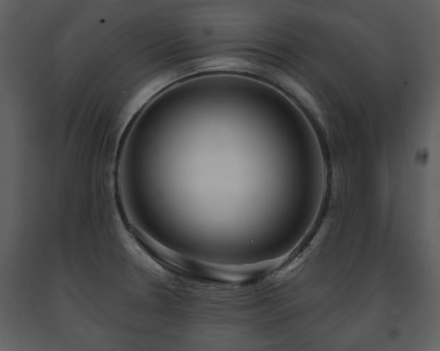 X0000091701330200708241214