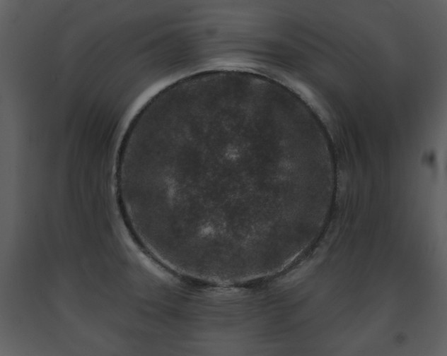 X0000091701331200708241214
