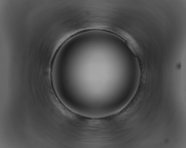 X0000091701332200708241214