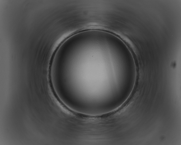X0000091701333200708241214