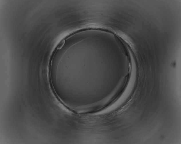 X0000091701334200708241214