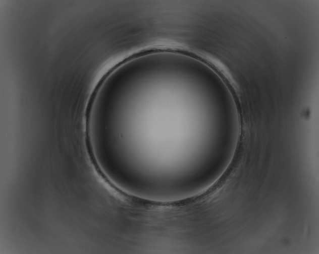 X0000091701335200708241214