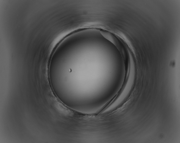 X0000091701336200708241214