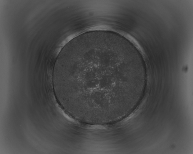 X0000091701337200708241214