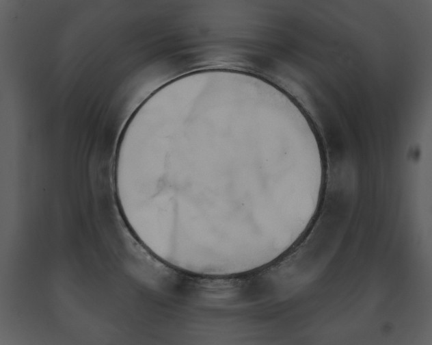 X0000091701338200708241214
