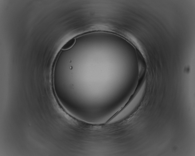 X0000091701339200708241214