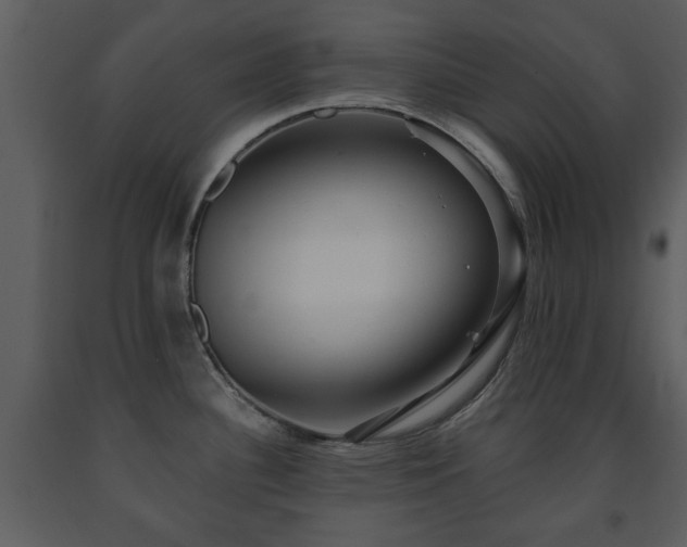 X0000091701340200708241214