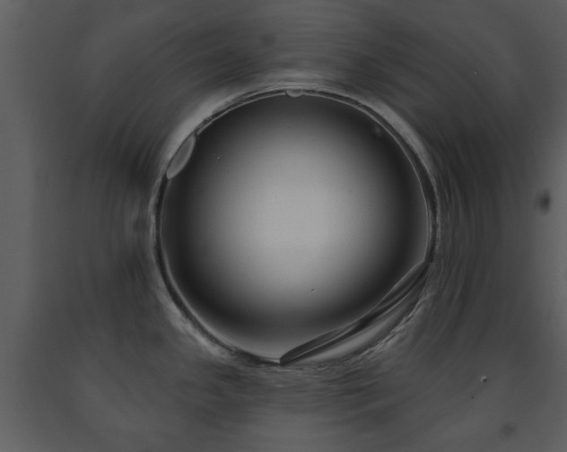 X0000091701341200708241214