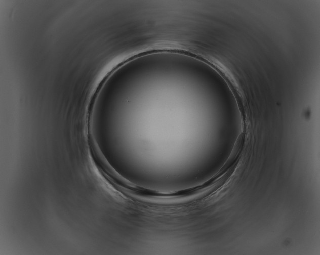 X0000091701342200708241214