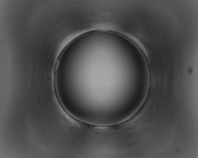 X0000091701343200708241214