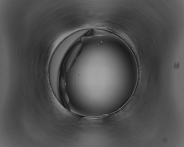 X0000091701344200708241214