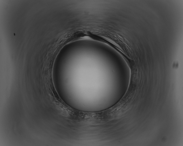 X0000091701345200708241214