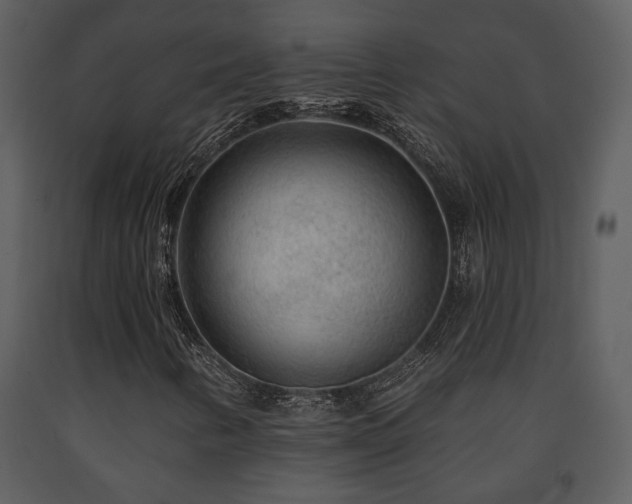 X0000091701346200708241214