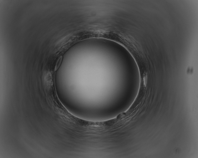 X0000091701347200708241214