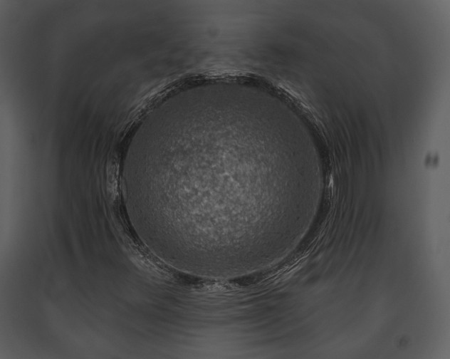 X0000091701348200708241214