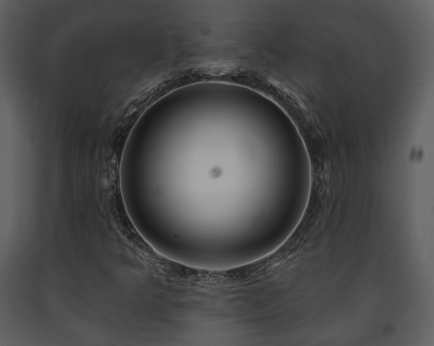 X0000091701349200708241214