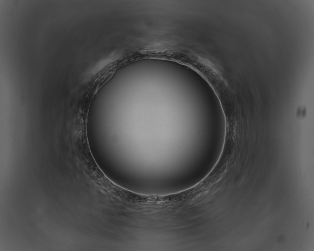 X0000091701350200708241214