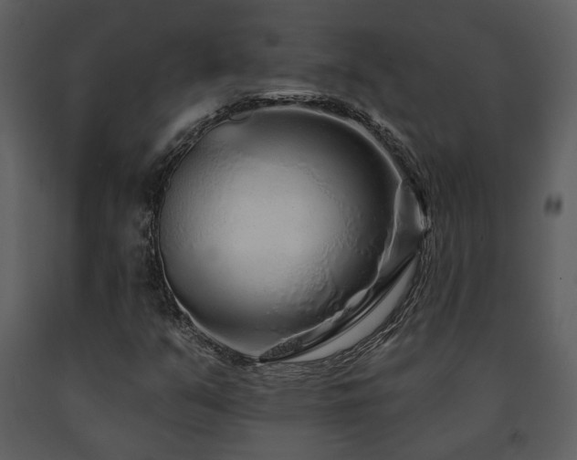 X0000091701351200708241214